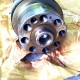 Camshaft 20950809